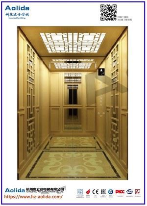 Prabangaus dizaino namų liftas